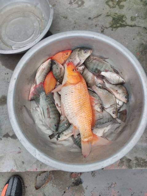 Sản phẩm tốt mà tay chắc lắm