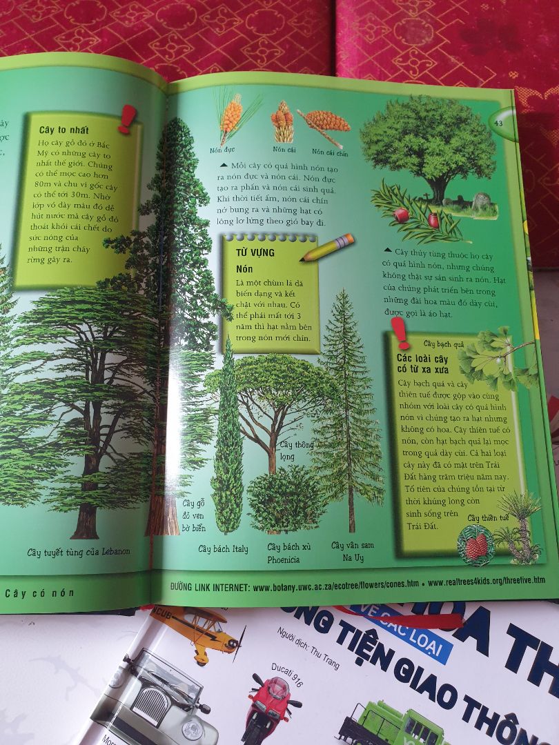 sách rất đẹp. nội dung phong phú. thích hợp với bé 5t trở lên. đc giảm 50% giá nên cực kì hài lòng