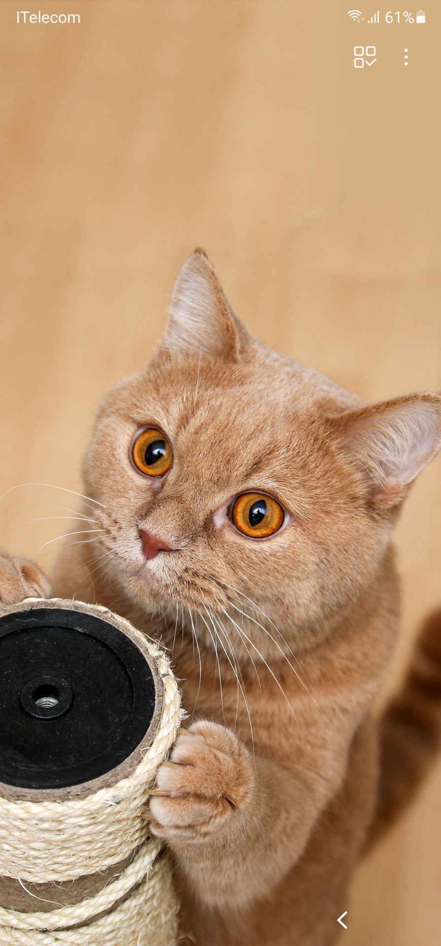 Quần đẹp, thời trang,dễ phối đồ. Giá hợp lí.