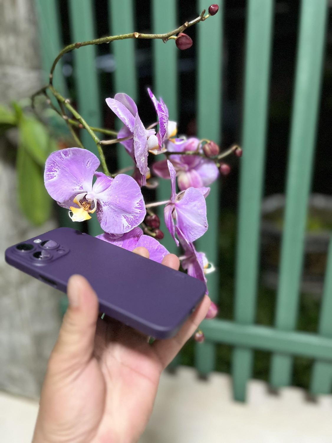 Mình đặt tưởng màu đen.hoá ra là mắm tôm 😆.nhưng đc cái ốp mỏng ok