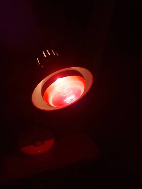 Cảm ơn shop đã gửi bù bóng đèn thiếu rất nhanh. Đóng gói cẩn thận. Tổng đài chăm sóc tận tâm. Lần sau sẽ giới thiệu cho bạn bè!