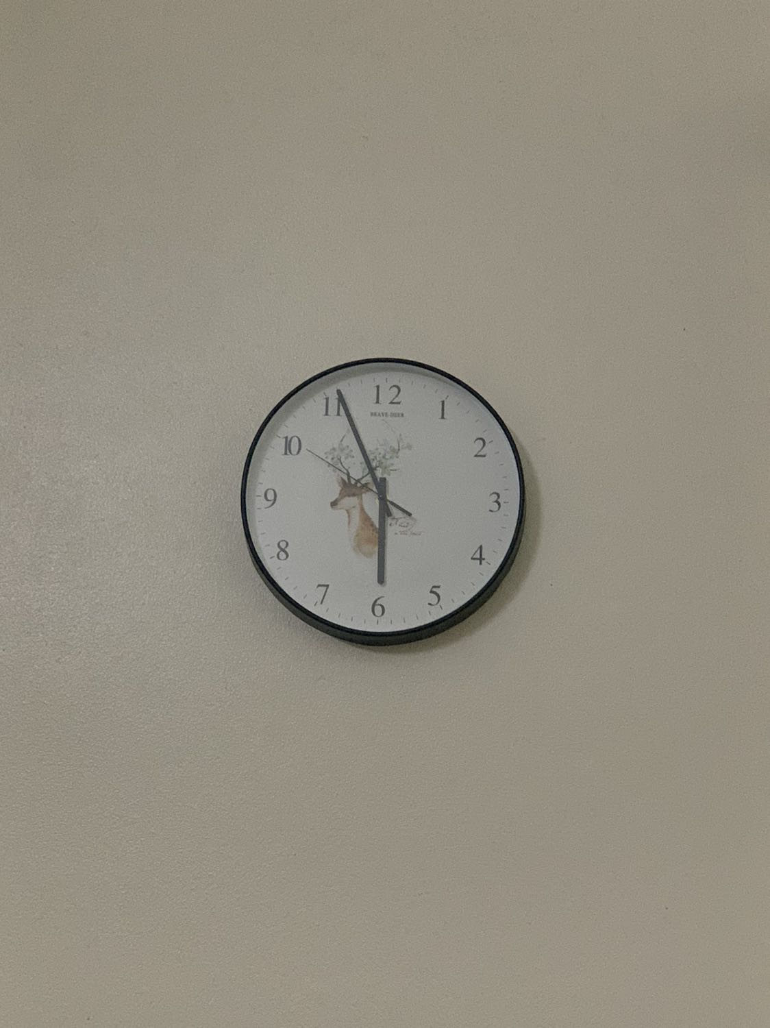 Đẹp và đóng gói cẩn thận. Đẹp và đóng gói cẩn thận.