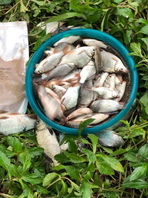 hình ảnh chỉ mang tính chất minh hoạ dlllnddkdoobkvkfkfkdkdkd cần đẹp như hình