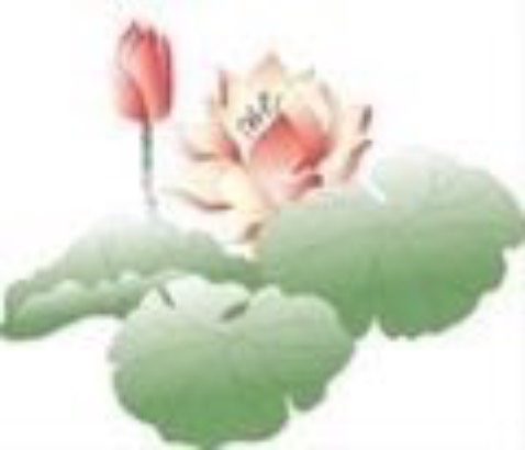 Tôi rất hài lòng về sản phẩm của shop. Tôi sẽ lựa chọn mua hàng của shop trong những lần sau. Cảm ơn shop nhiều.