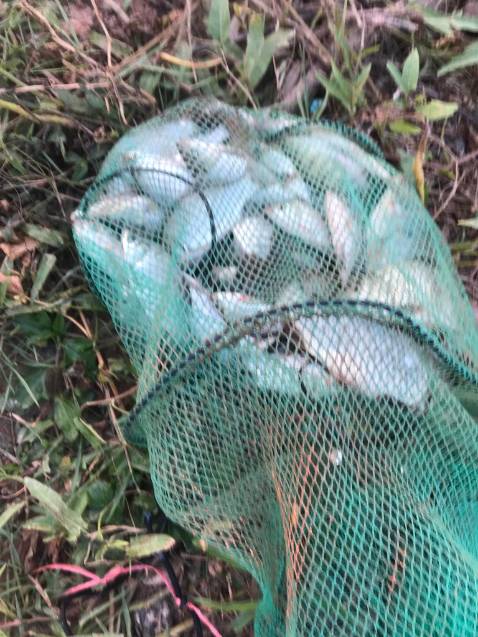 Giao hàng nhanh giá rẻ, phù hợp . Phụ kiện đầy đủ, ok rồi.