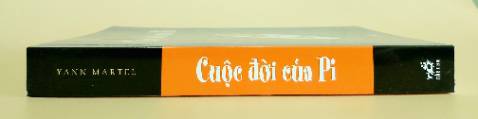 Sau vụ đắm tàu bi thảm, Pi, cậu bé 16 tuổi con một giám đốc sở thú cùng gia đình đi Canada, thấy mình là kẻ sống sót duy nhất trên một chiếc xuồng cứu nạn nhỏ bé dập dềnh giữa Thái Bình dương hoang dại. Cùng với một con ngựa vằn đau khổ (gẫy một chân), một con linh cẩu lông đốm độc ác liên tục kêu yip yip yip yip, một con đười ươi cái nôn oẹ vì say sóng và đặc biệt một con hổ Bengal nặng 450 pound....

Bối cảnh đã được dựng lên cho một trong những tiểu thuyết lạ thường nhất trong nhiều năm gần đây.

"Cuộc đời của Pi là hắc ảo thuật song hành cùng hiện thực, một ngụ ngôn tinh tế và công phu về đức tin dưới nhiều tầng lớp." Irish Times