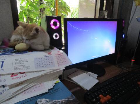 Vừa nhận được hàng xong mặc dù kính không có hộp đựng nhưng kiểm tra thì cũng không có vấn đề gì. Sản phẩm rất đẹp mua thì mua thôi chứ đừng hi vọng quá vào giảm giá . Đây là chiếc kính  mình mua thấy đẹp rất từ trước tới nay , nó rất phù hợp với khuôn mặt của mình . Mình sẽ đeo nó mọi lúc kể cả khi đi ngủ . Shop và Tiki nhận 10 sao . Riêng Tiki xứng đáng nhận thêm danh hiệu Anh Hùng Lao Động trong thời đại 4.0 .