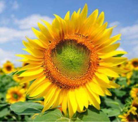 Quần đẹp phong cách anh giao hàng thân thiện nói chuyện rất dễ thương nha