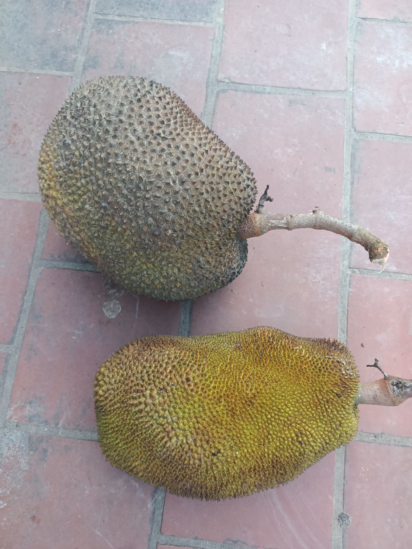 xuhxjidsyhxsgvcfj. h xuhxjidsyhxsgvcfj. h