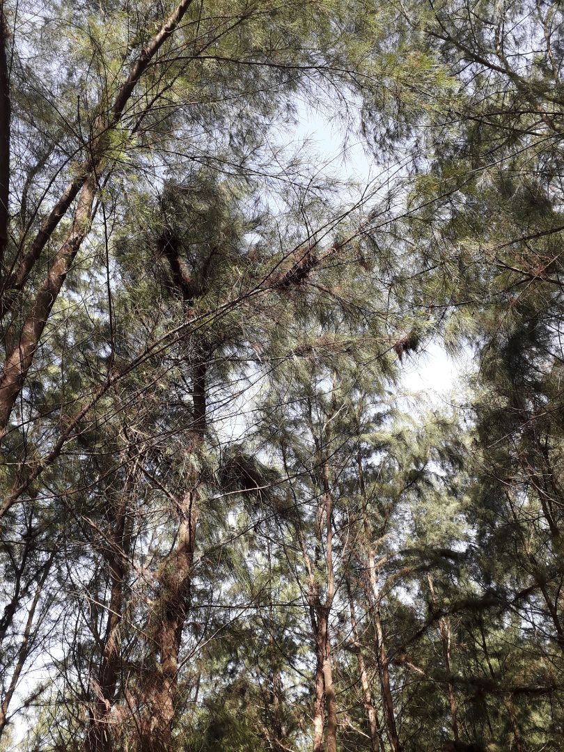 ok hàng rất tốt