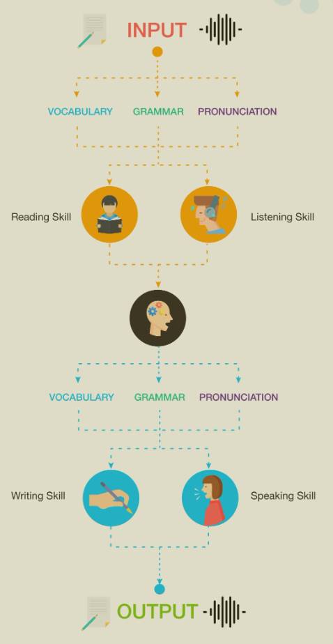 English Vocabulary in Use Advanced