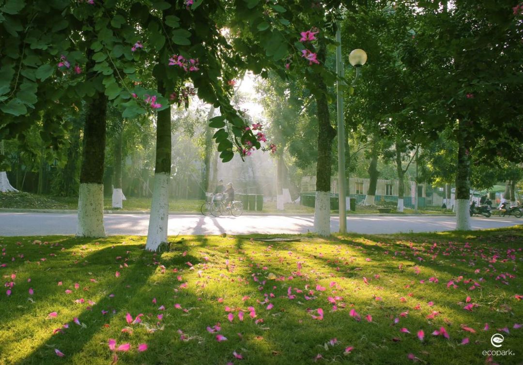 chưa được đùng ,vì ny đi cách ly .tiện đây bác nào muốn mua nhà ,thuê nhà Ecopark cách hồ Gươm 14km thì để *** dưới em tư vấn 😔