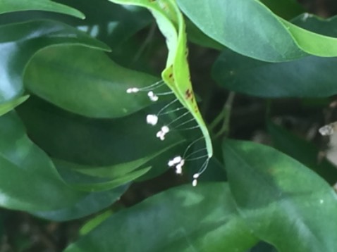 Hài lòng Hài lòng