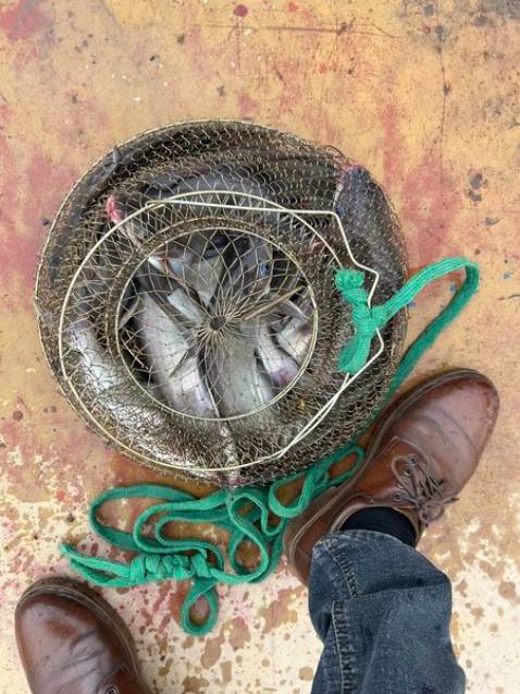 Hàng i như mô tả chất lượng ok