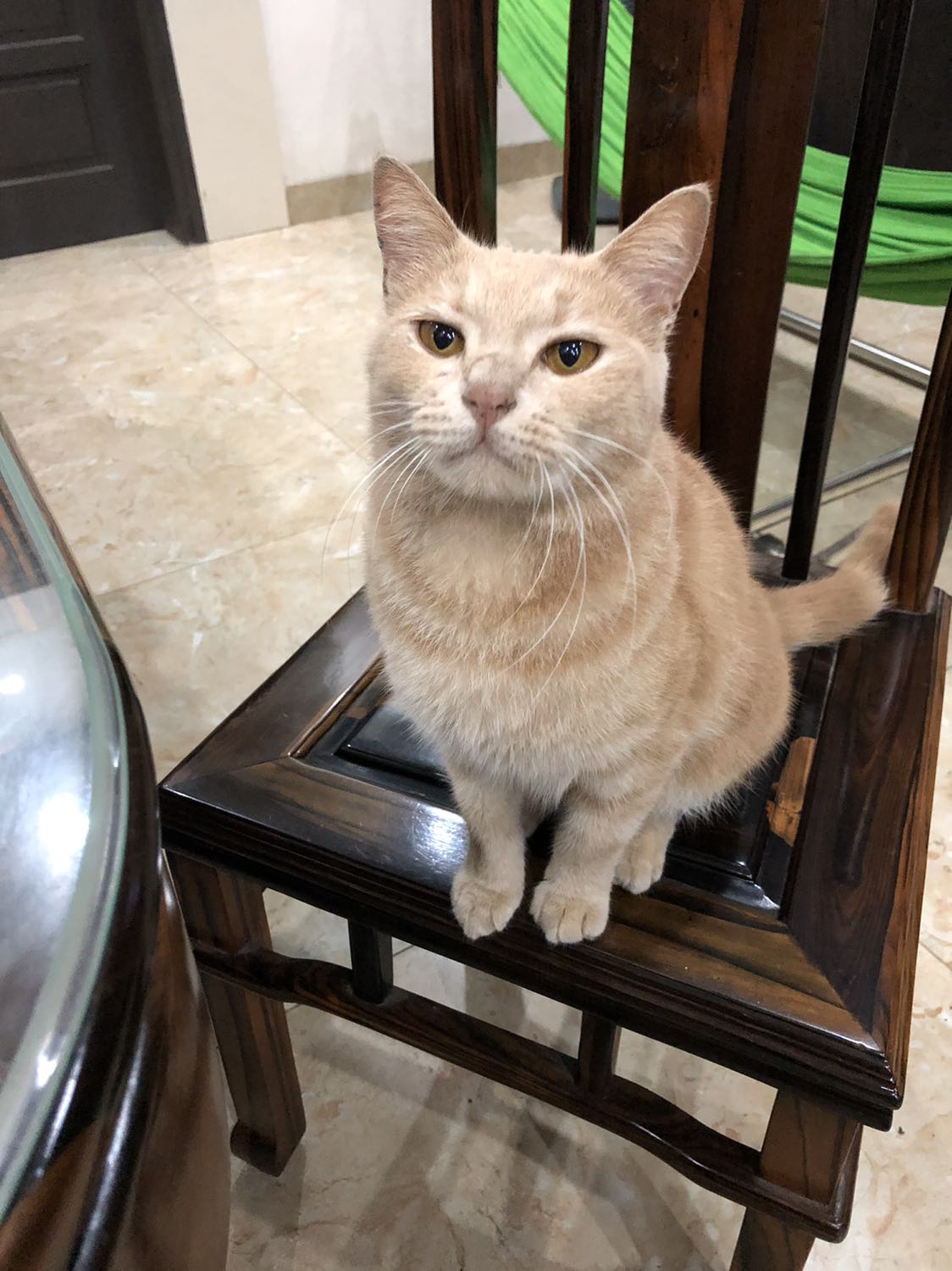 Hàng tốt chạy êm