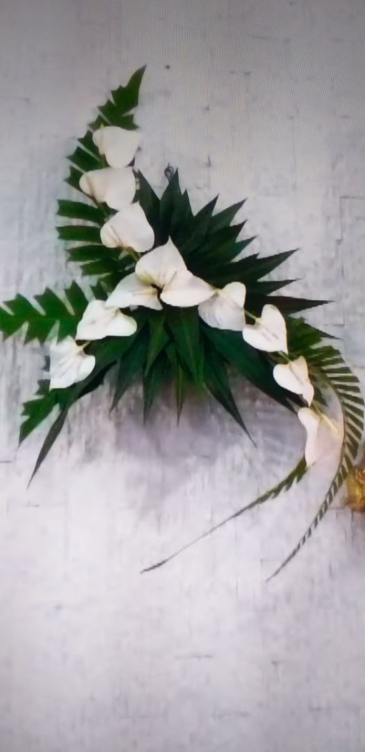 Ok nhé mọi người nên mua hhhh Ok nhé mọi người nên mua hhhh Ok nhé mọi người nên mua hhhh Ok nhé mọi người nên mua hhhh Ok nhé mọi người nên mua hhhh Ok nhé mọi người nên mua hhhh Ok nhé mọi người nên mua hhhh Ok nhé mọi người nên mua hhhh