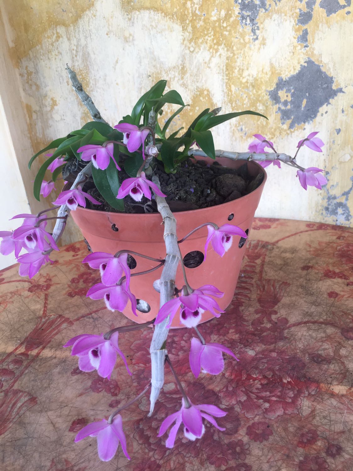 Hàng chuẩn lượng