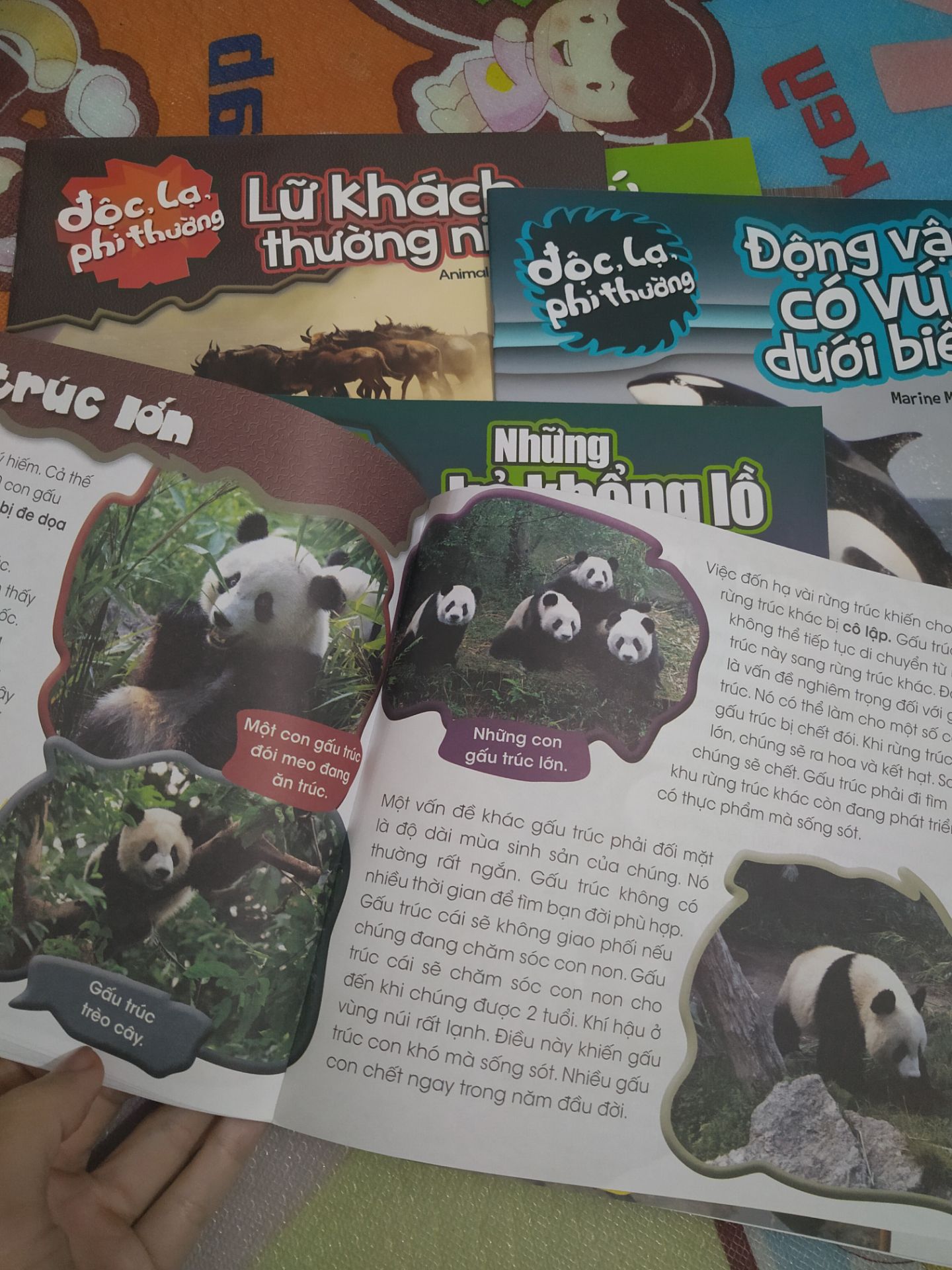 bé nhà mình thích lắm. suốt ngày bắt mẹ cho xem. mình mua cả combo luôn. tha hồ xem nhé. tiki giao hàng nhanh, đóng gói cẩn thận.