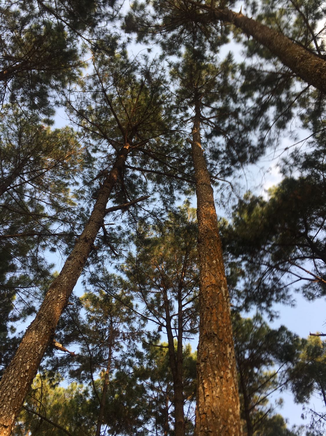 Sản phẩm rất ok ,dùng tốt mượt giao nhanh , sản ủng hộ shop nhiều