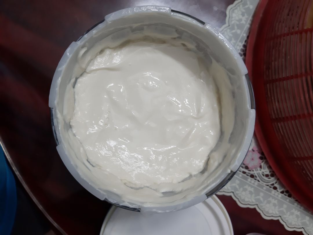 có máy đỡ phải ủ、thao tác đơn giản、chất lượng sữa chua ra ngon đồng đều. Tuy nhiên máy có chế độ Greek yaourt nên hích hợp cho ai muốn làm sữa chua Hy Lạp hơn. Khi mình muốn làm plain yogurt thì lại ko đông lắm、vẫn lợn cợn ko đều、thể nên muốn làm "sữa chua úp ngược" trong truyền thuyết là ko thể. Mình thêm sữa đặc để sữa chua Hy Lạp đỡ ngán hơn、nước tách từ sữa chua vẫn uống được và có thể rửa mặt. Về chức năng muối dưa、ủ rượu thì mình chưa thử. có máy đỡ phải ủ、thao tác đơn giản、chất lượng sữa chua ra ngon đồng đều. Tuy nhiên máy có chế độ Greek yaourt nên hích hợp cho ai muốn làm sữa chua Hy Lạp hơn. Khi mình muốn làm plain yogurt thì lại ko đông lắm、vẫn lợn cợn ko đều、thể nên muốn làm "sữa chua úp ngược" trong truyền thuyết là ko thể. Mình thêm sữa đặc để sữa chua Hy Lạp đỡ ngán hơn、nước tách từ sữa chua vẫn uống được và có thể rửa mặt. Về chức năng muối dưa、ủ rượu thì mình chưa thử.