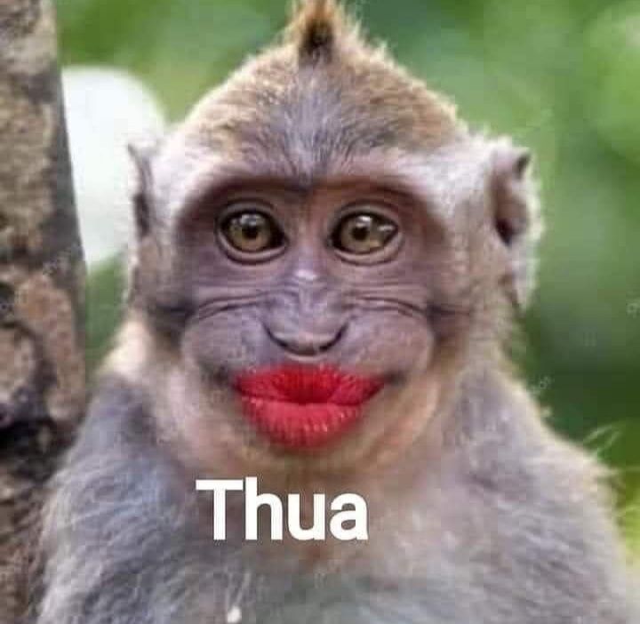 người người đều khen tốt chất lượng. mình mới mua 6/8 2022 không biết có bền không??? tạm thời cho 8 điểm 4sao...