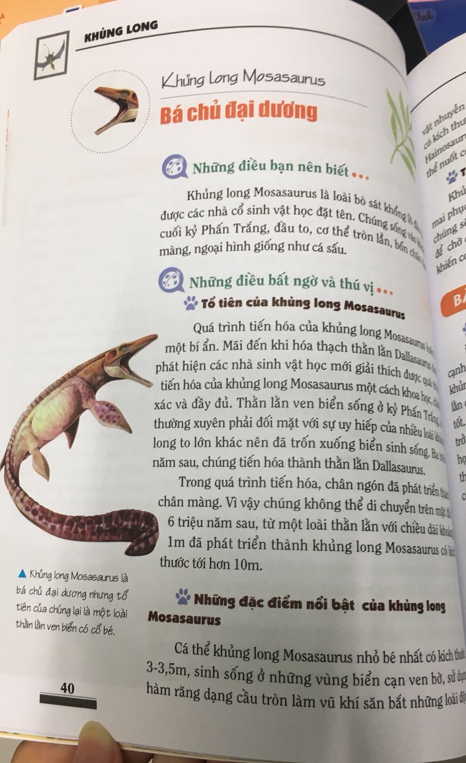 Sách hay và nhiều hình ảnh nữa, có thêm nhiều điều mới hay lắm, mê lắm