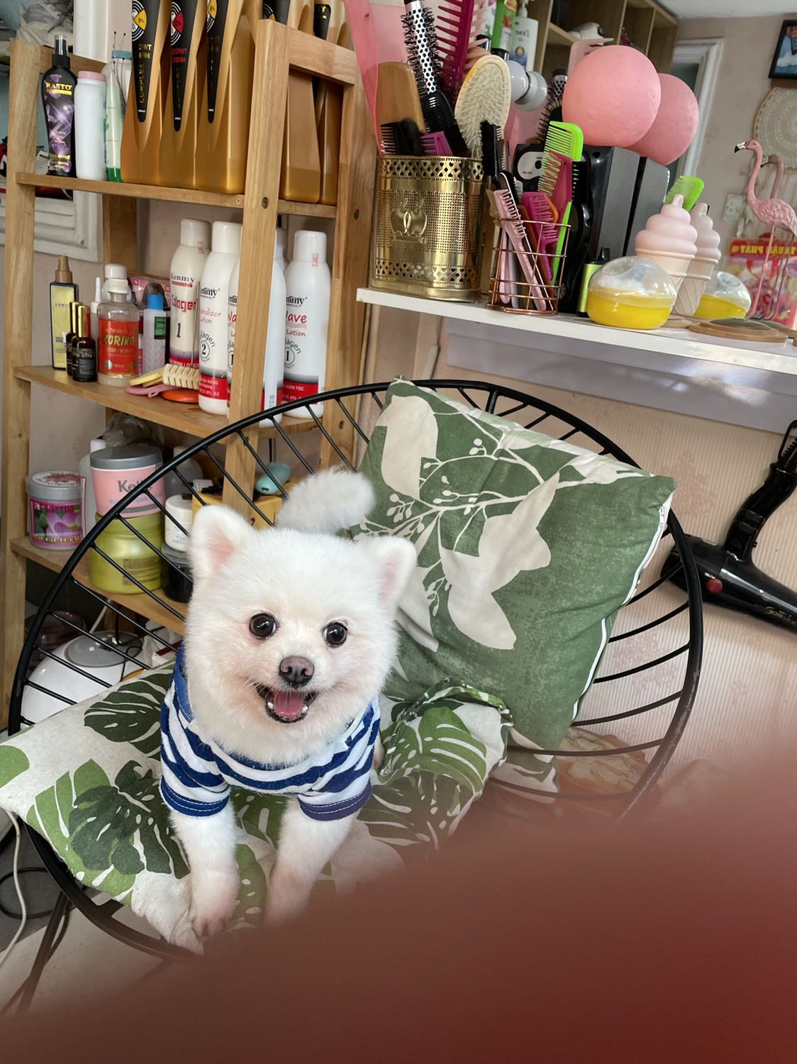 Bánh xương *** da gửi đi Tây ninh cho người ta