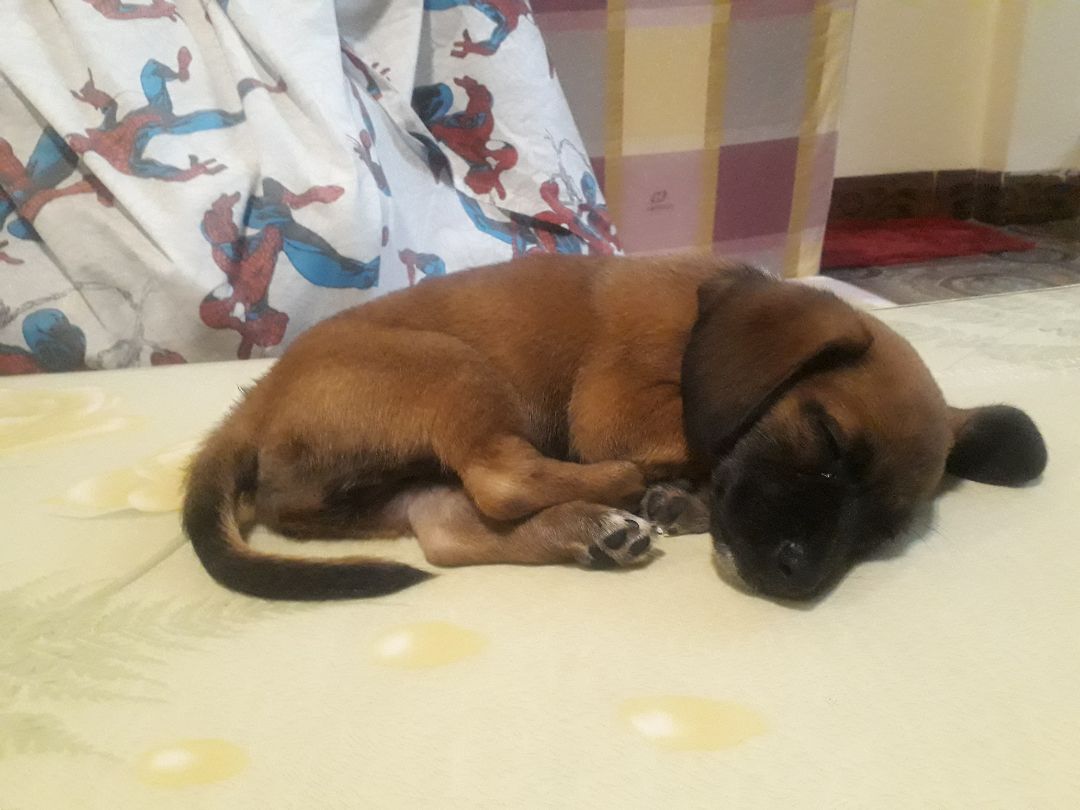 thích vì được phích 👍😜 thích vì được phích 👍😜