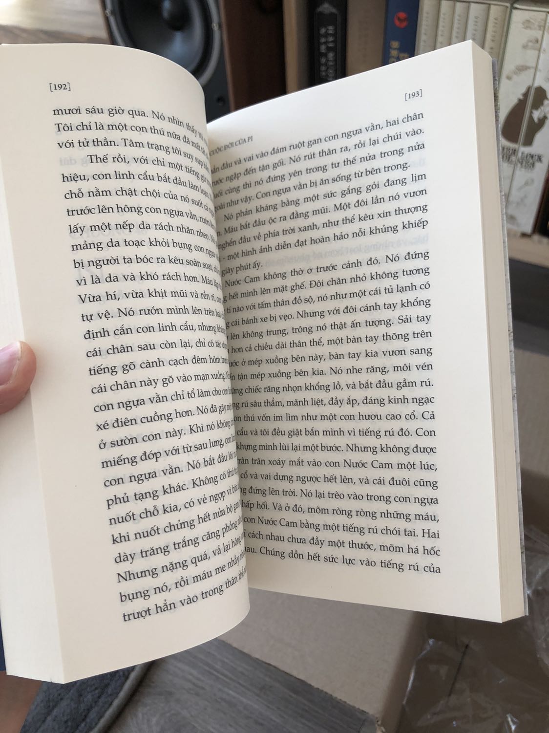 Mình xem phim trước khi đọc truyện về PI, phim hay xuất sắc, coi 30” đầu sẽ hơi chán với những bạn không thích thể loại phim chậm chạp từ từ, chủ yếu nói về cuộc đời lúc nhỏ của Pi, để làm tiền đề hiểu hơn về đoạn lúc sau này khi Pi lênh đênh trên biển.

Cả phim và sách đều hay như nhau, mỗi thứ cho một nét riêng. Bạn nên đọc sách lẫn xem phim để có cạm thụ tốt hơn về quan điểm của nhà văn thông qua nhân vật PI về cái thiện và cái ác

Cám ơn tiki đã giao sách nhanh và đẹp