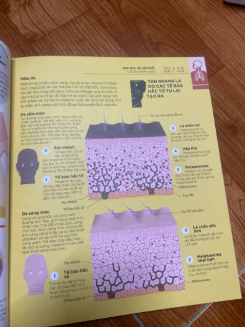 Mình có cuốn giải phẫu học atlas rồi nhưng cuốn này vẫn cần trong bộ sưu tập,vì từ vựng cơ thể học vừa đủ nên sẽ hiểu nhanh hơn cuốn chuyên môn kia