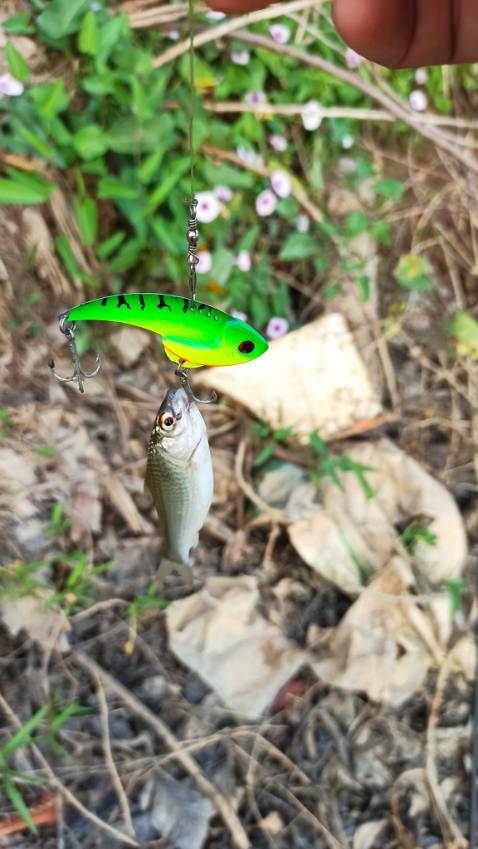 Quá ok quá tuyêt vời chị shipper vui tính thân thiện jsjznkajjxjanxjjsnxisnnxisjxuiwncjskjcjsjd