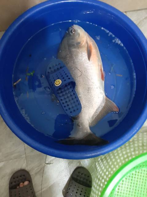 Món hàng rất chi là ok dầy đủ mọi cái nhìn hơi mong manh nhưng chắc kbsao