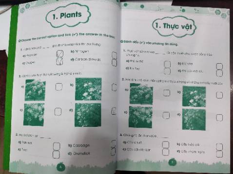 Hình trong sách quá vừa nhỏ vừa mờ, không thể phân biệt để trả lời câu hỏi.