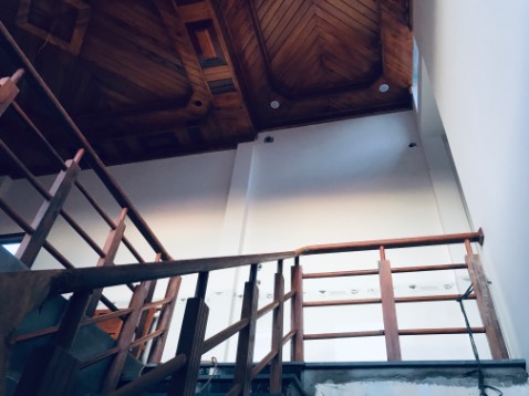 Hai cái bát sen nhìn vui vui