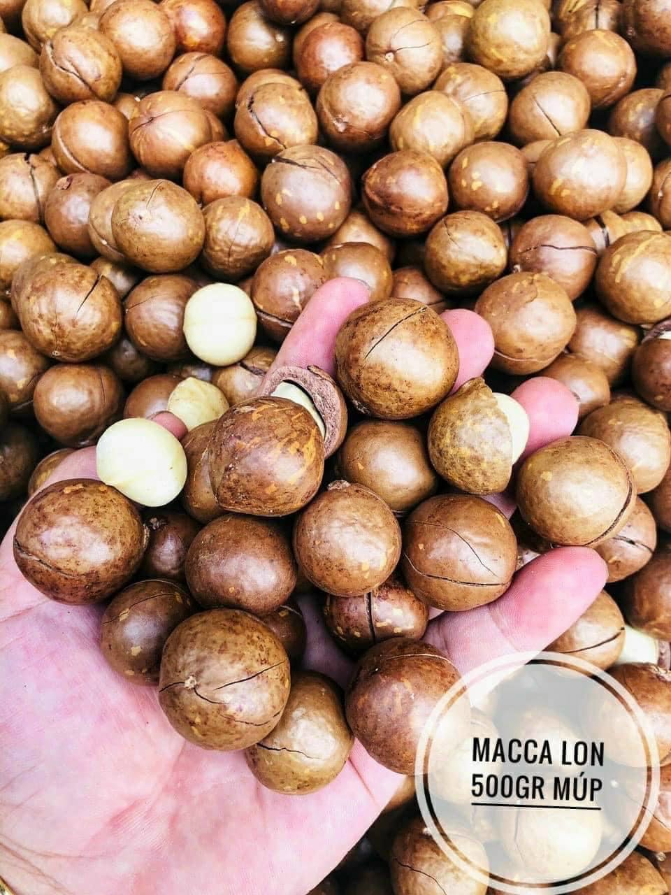 Bếp đẹp. Gọn, tiết kiệm diênn tích Bếp đẹp. Gọn, tiết kiệm diênn tích