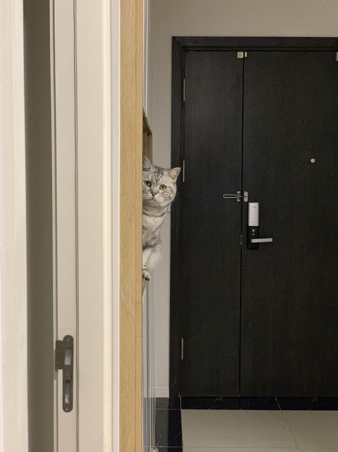 Mỗi khi nhà văn ra sách là phải mua ngay