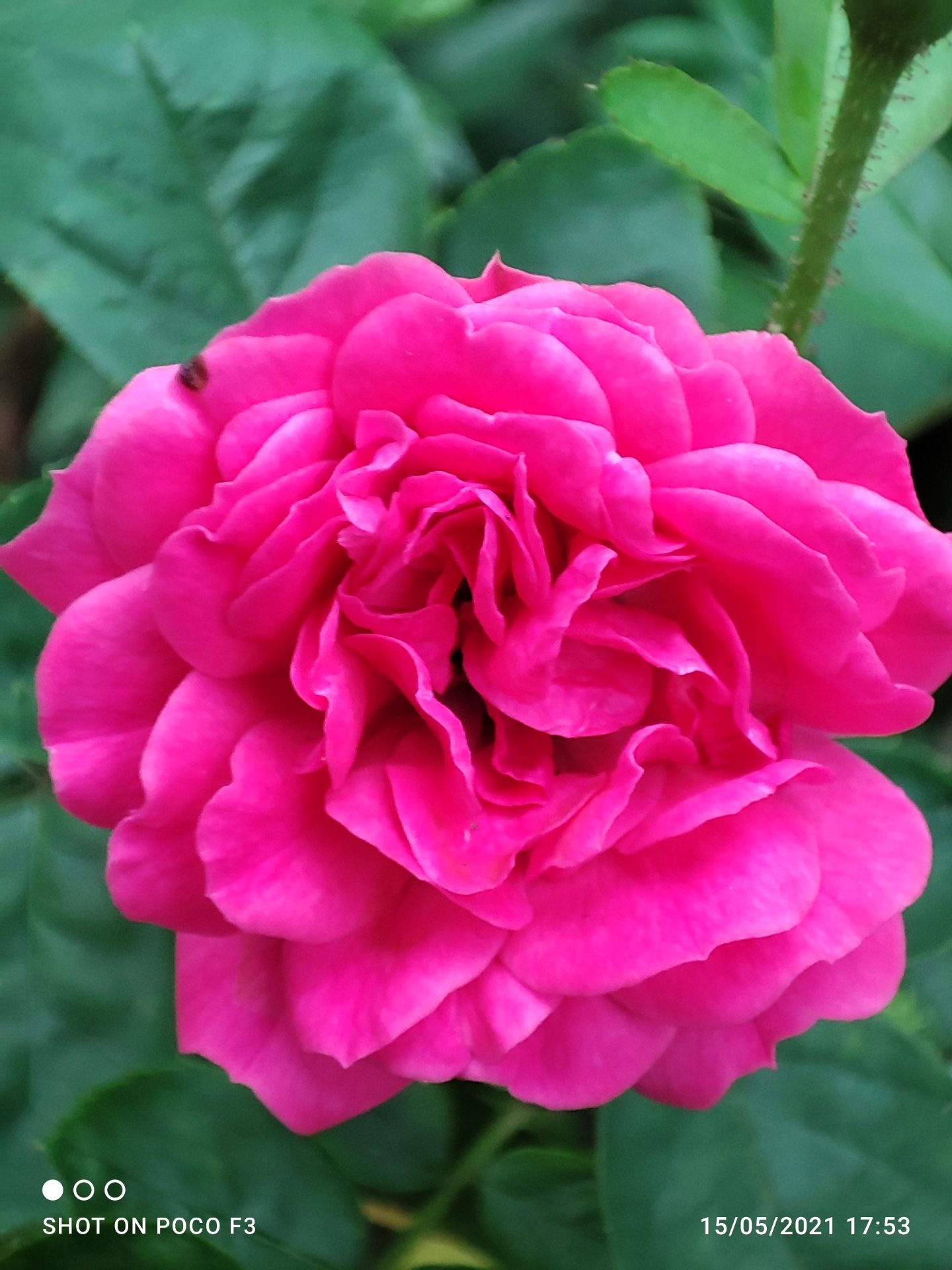 đúng như mô tả