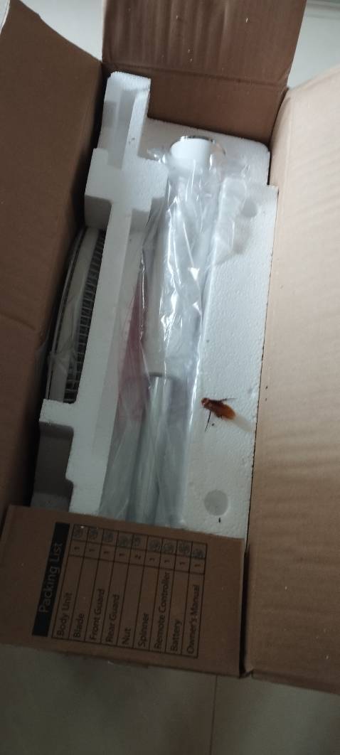 Khui thùng thì thấy một ổ gián, sống có, chết có. Remote ban đầu không nhận, bật tắt vài lần thì ổn.