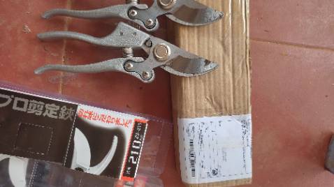 Đặt kéo sada 210, giao kéo sk5 bị rỉ sét