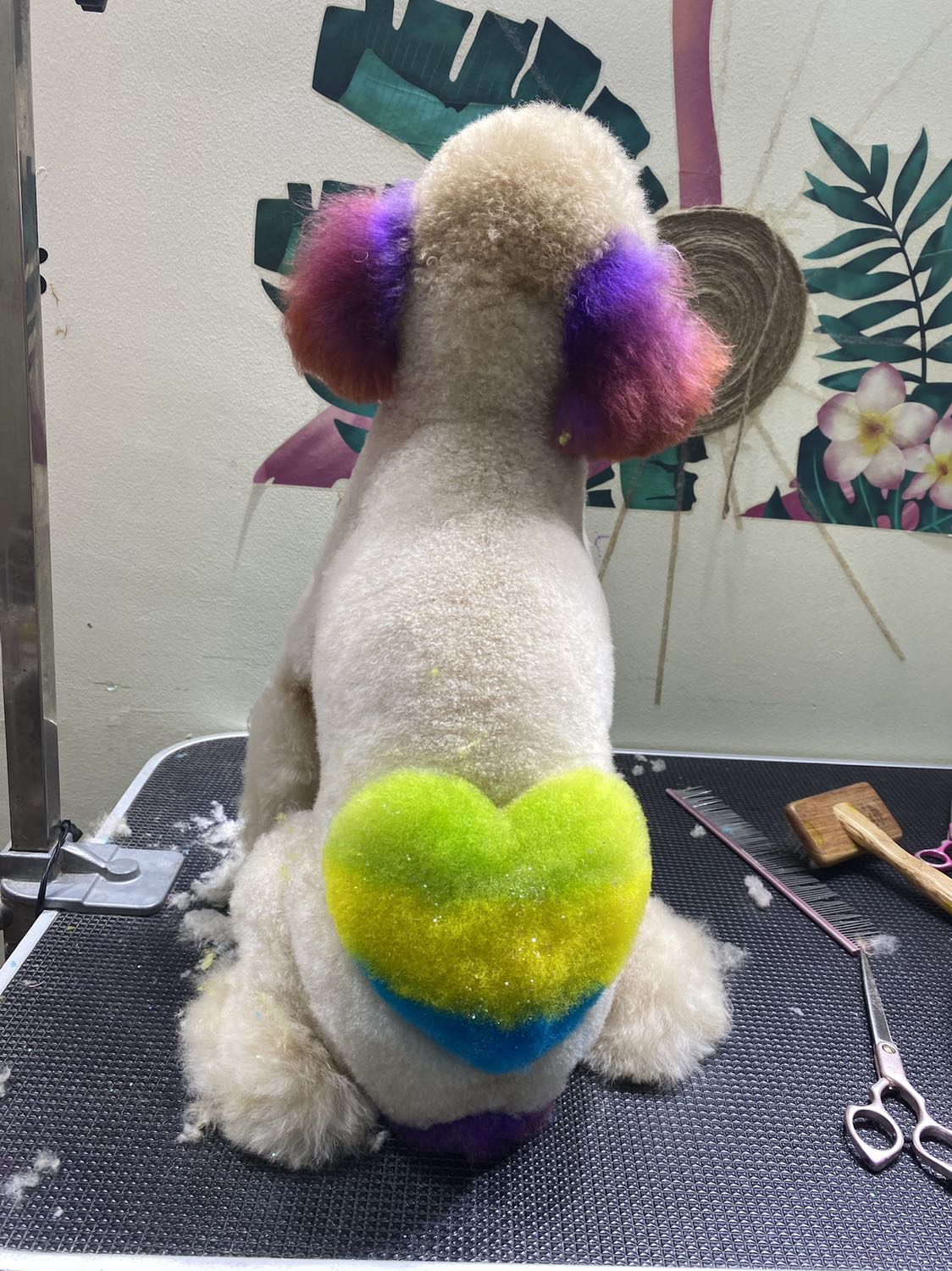 Tốt lắm ạ.
? Chuyên Cắt Tỉa Lông ,Nhuộm Lông PÔDLE và nhận dạy học viên cắt tỉa lông.  
? Nhận đón đưa chó tính theo giá GRAB.  
? Call ***