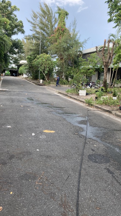 Thơm ngon lắm. Cây non mới trồng thì phải