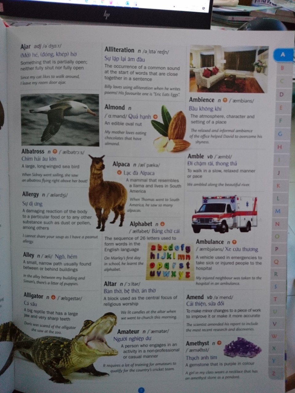 Ghi là từ điển tranh, học từ vựng tiếng Anh qua hình ảnh thì chưa chính xác. Vì không phải tất cả các từ đều có hình minh họa tương ứng, chỉ cỏ một số từ ở mỗi trang là có hình. Tuy nhiên nội dung phù hợp cho thiếu nhi 8-15 tuổi khi cần học từ vựng và tra từ điến. Các từ mang nghĩa phổ thông, có phiên dịch đọc từ, nghĩa tiếng Việt, định nghĩa và câu ví dụ bằng tiếng Anh.