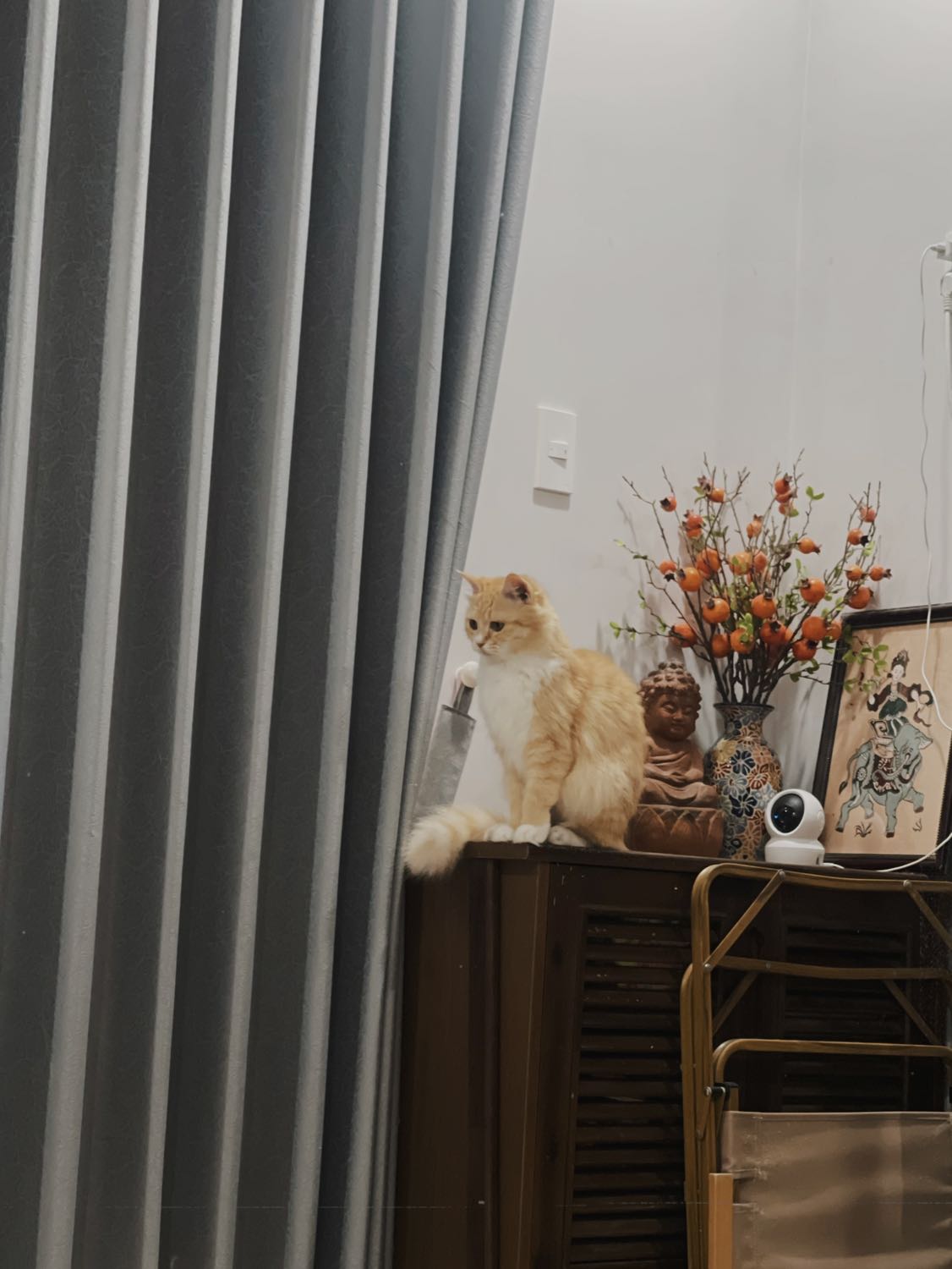 Shop giao hàng nhanh, đóng gói cẩn thận & có quà tặng thêm nữa 🥰 sản phẩm còn nguyên chân không, chất lượng tốt