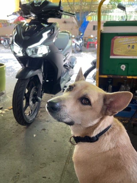 Quá Tuyệt vời
Cảm ơn bạn tư vấn Viên HEAD PT Tiki ạ
Xe đẹp giá rẻ, nhân viên ở Head PT rất nhiệt tình