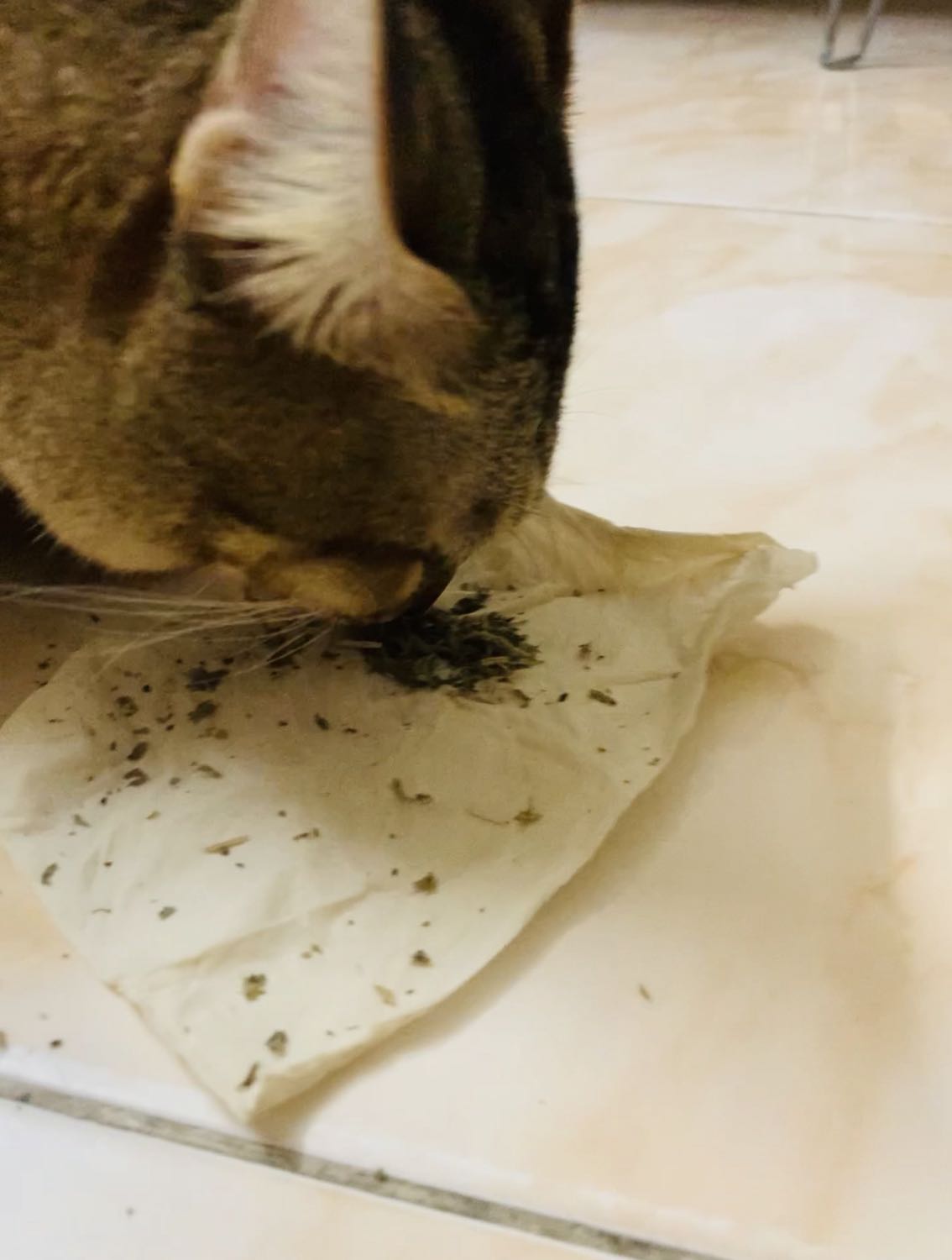 Sản phẩm OK lắm nè. Mèo nhà mình vừa nghe mùi là ngửi lấy ngửi để. Ăn xong mẻ nằm phơi thây ra, vô cùng thoải mái. Sản phẩm OK lắm nè. Mèo nhà mình vừa nghe mùi là ngửi lấy ngửi để. Ăn xong mẻ nằm phơi thây ra, vô cùng thoải mái.