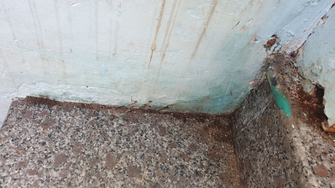 cực kì hiệu quả, mình dùng đủ mọi cách : nước rửa chén, bột soda vắt chanh, rắc phấn,... nhưng k hiệu quả. mua thuốc về nhỏ vào tổ và trên đường đi của kiến thì ngày hôm sau chết hàng loạt, hiện tại chỉ còn vài con lẻ tẻ, diệt kiến xong thì mình mua xi măng và cát về bịt mấy chỗ kẽ nứt lại là ok. cực kì hiệu quả, mình dùng đủ mọi cách : nước rửa chén, bột soda vắt chanh, rắc phấn,... nhưng k hiệu quả. mua thuốc về nhỏ vào tổ và trên đường đi của kiến thì ngày hôm sau chết hàng loạt, hiện tại chỉ còn vài con lẻ tẻ, diệt kiến xong thì mình mua xi măng và cát về bịt mấy chỗ kẽ nứt lại là ok.