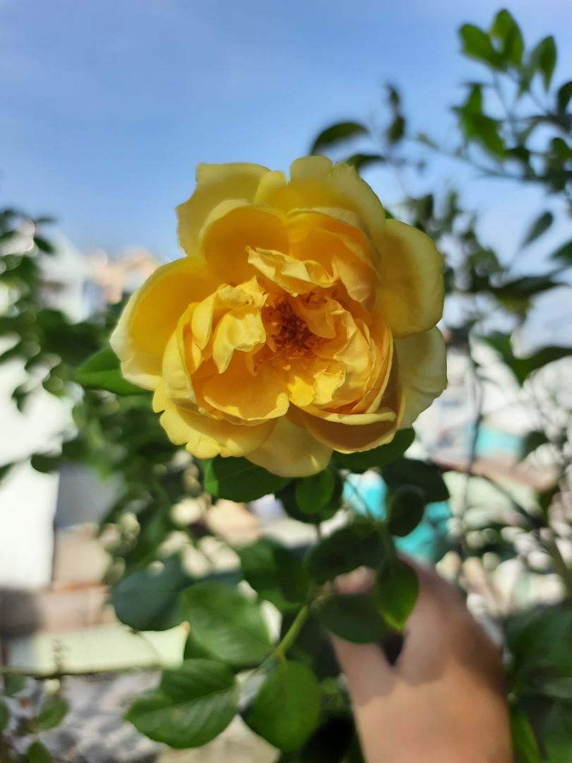 sản phẩm đúng mô tả