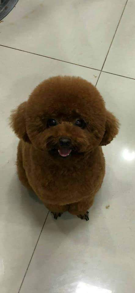hàng chất lượng, giá cả hợp lý, Tiki giao hàng nhanh lịch sự chuyên nghiệp. Thanks hàng chất lượng, giá cả hợp lý, Tiki giao hàng nhanh lịch sự chuyên nghiệp. Thanks