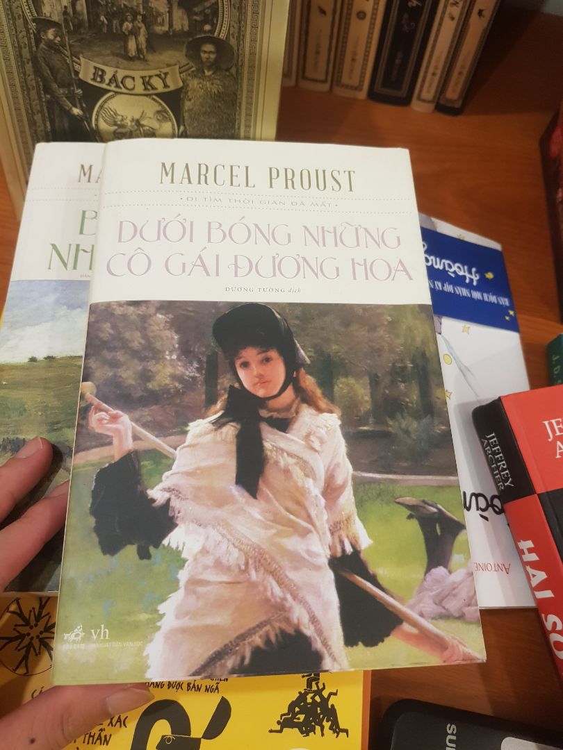 Sau mối tình đau thương bất thành với nàng Gilberte, nhân vật "tôi" rời đến Balbec sinh sống. Qua những ngày đầu câm lặng và cô đơn, anh bắt đầu gặp gỡ rất nhiều người thuộc các tầng lớp khác nhau. Chưa bao giờ những mối quan hệ mới lại khiến trong anh nảy sinh nhiều xúc cảm, băn khoăn và trăn trở đến vậy. Khi là những suy tưởng triết học sâu sắc cùng hầu tứơc Robert de Saint-Loup. Khi thì là những ám ảnh sáng tạo nghệ thuật cùng họa sĩ Elstir. Khi lại là những yêu thương hết mình anh dành cho nàng Albertine cùng những suy ngẫm về nỗi dằn vặt và hạnh phúc trong tình yêu đắm say.
Là tập hai của bộ tiểu thuyết "Đi Tìm Thời Gian Đã Mất" - bộ tiểu thuyết kinh điển mở đầu cho nền tiểu thuyết hiện đại thế kỷ XX, đề cập đến những bàn luận sâu rộng không ngớt và đậm chất thơ về cảm xúc nhân vật, trăn trở tâm hồn, hồi ức tình cảm, những phân tích, những băn khoăn nghệ thuật và triết học và những khái niệm mới mẻ, sáng tạo về tời gian, tác phẩm này đã được trao giải Goncourt 1919 - và từ lâu đã được coi là danh tác văn học, niềm kiêu hãnh của văn chương Pháp