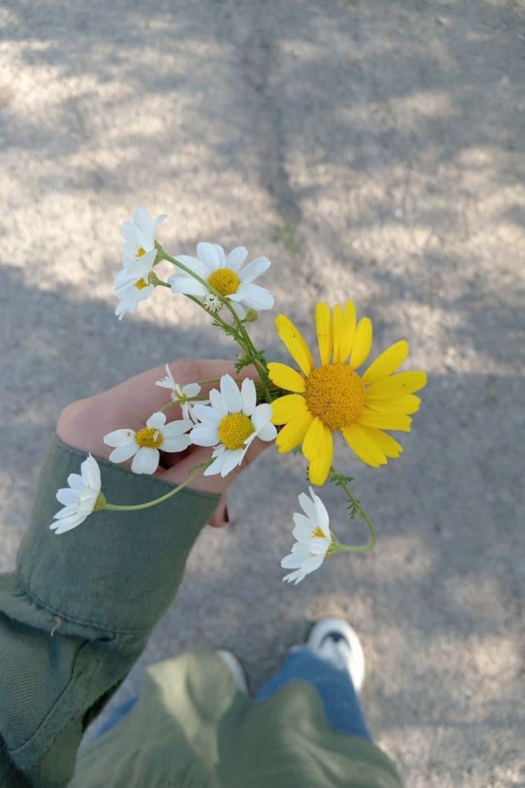 Giao hàng nhanh và chính xác